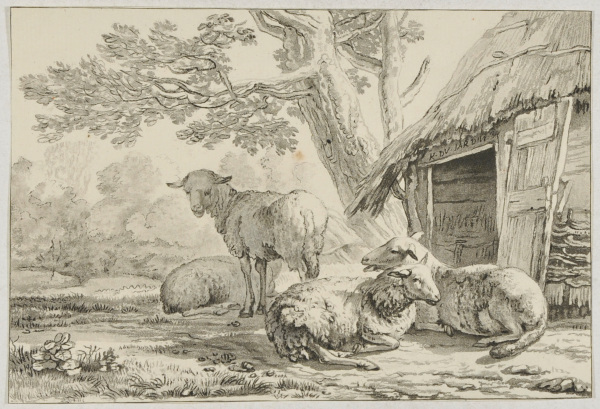 Moutons dans une Etable