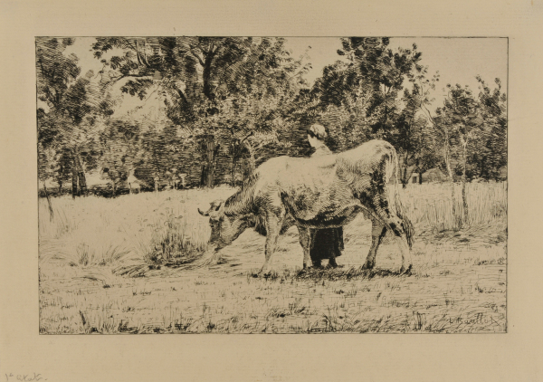 Un Verger au Printemps