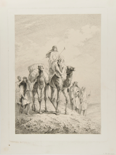 Youth on a Camel