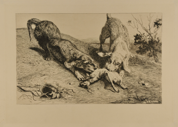 La Curée d’un lapin