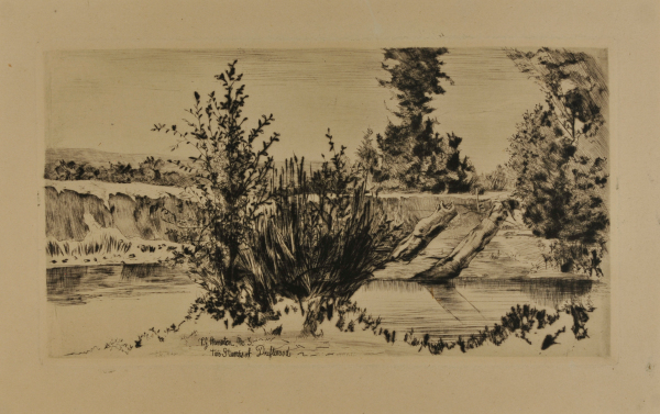 TWO STUMPS OF DRIFTWOOD