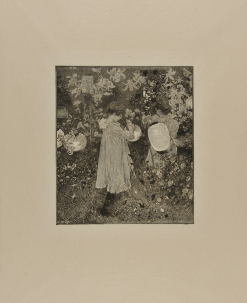 CARNATION, LILY, LILY, ROSE