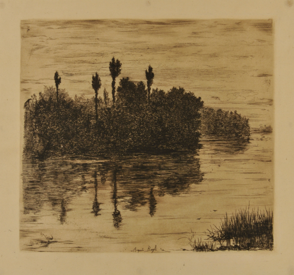 RIVER SCENE WITH TREES IN THE BACKGROUND