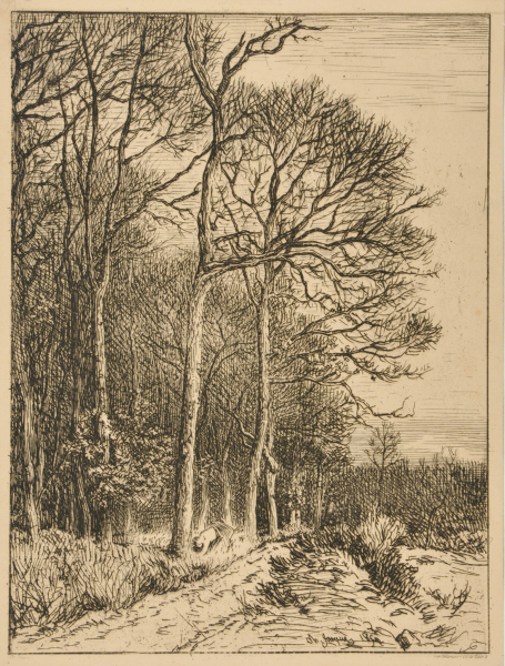 LANDSCAPE: WINTER - EDGE OF THE FOREST