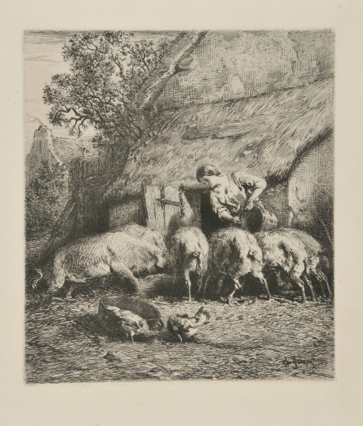 WOMAN FEEDING PIGS