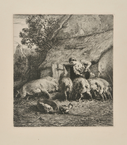 WOMAN FEEDING PIGS