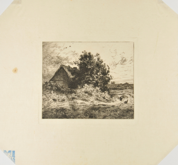 THE BUSH, KERCASSIER