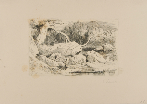 THE MOUNTAIN TORRENT