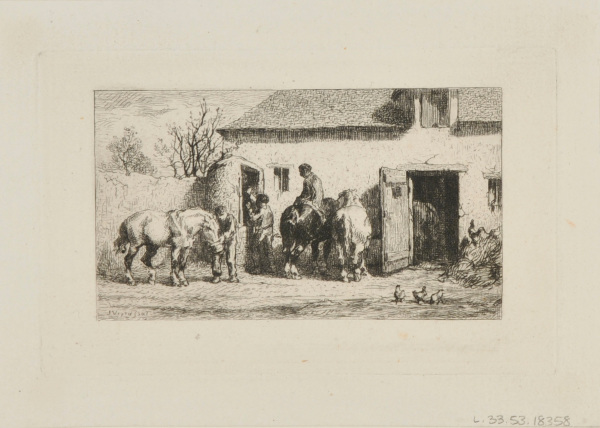 HORSES AT THE TROUGH