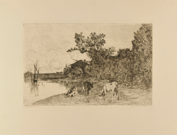 COWS NEAR A WATER MILL