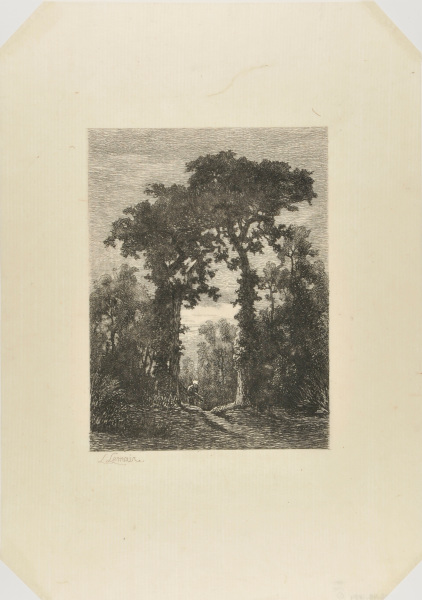 Woman gathering wood