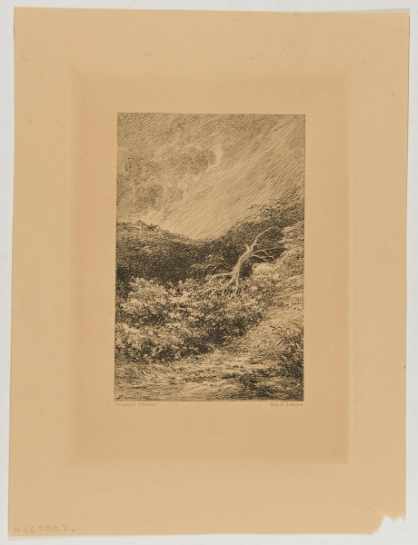 Landscape in a Storm