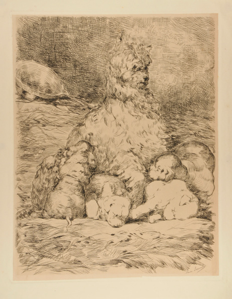 Mother Dog with Her Puppies, large format