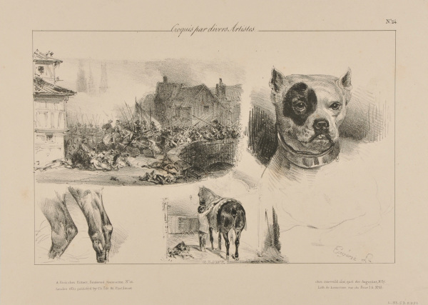 Croquis par divers Artistes: No. 24: Army Charging, Head of a Dog, Horse Being Saddled etc.