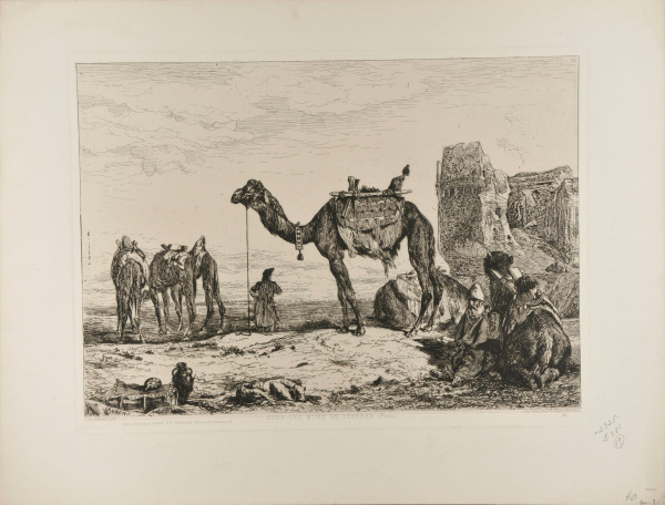 UNDER THE WALLS OF TEHRAN