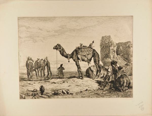 UNDER THE WALLS OF TEHRAN