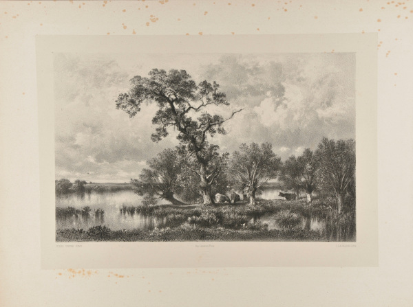 CATTLE GRAZING BY A RIVER