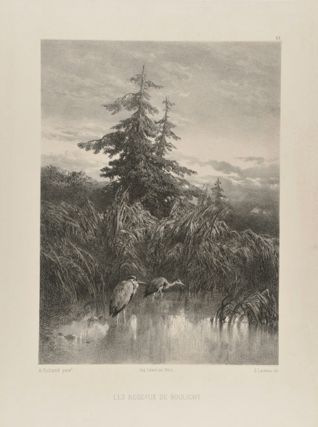 THE REEDS OF BOULIGNY