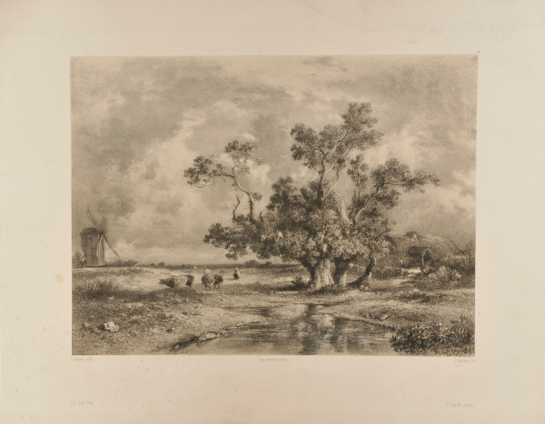 Cattle Grazing with Windmill in the Background