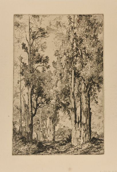 Landscape: Gateway on the Path and Castle in the Background