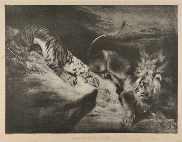 THE LION AND THE TIGER