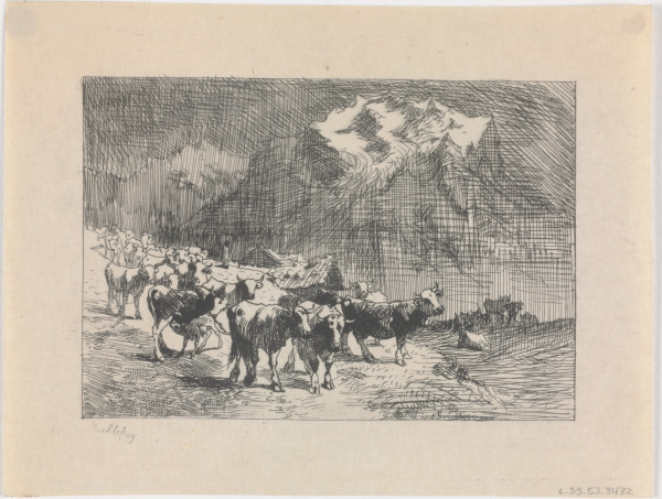 A HERD OF COWS IN THE OBERLAND