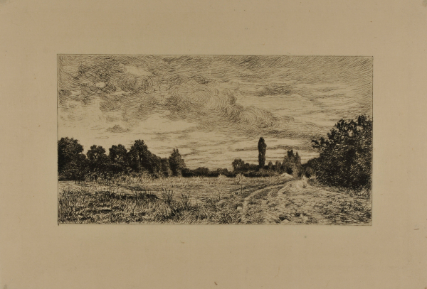 LANDSCAPE WITH CYPRESS TREE IN THE BACKGROUND