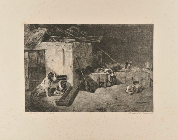 INTERIOR OF A KENNEL