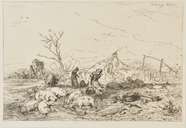 LANDSCAPE: HERD OF PIGS