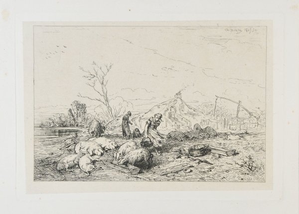 LANDSCAPE: HERD OF PIGS