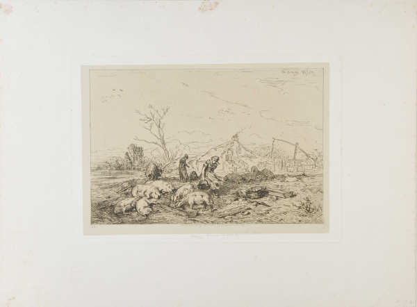 Paysage: Troupeau de cochons