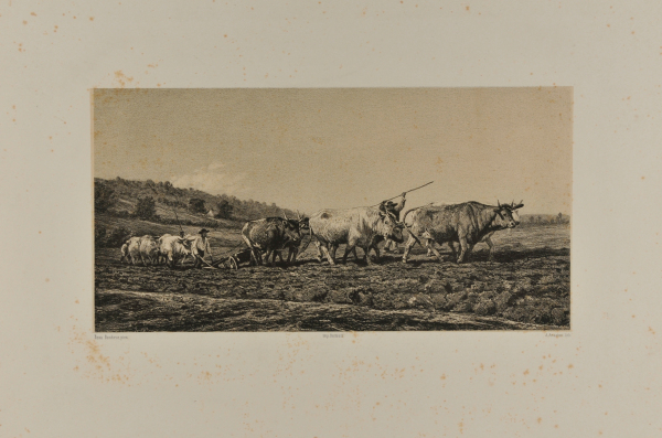 PLOUGHING IN NEVERS
