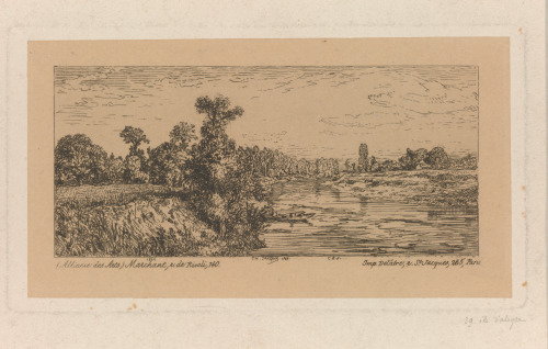 Landscape: Île d’Aligre