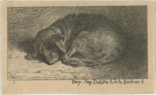 SLEEPING DOG