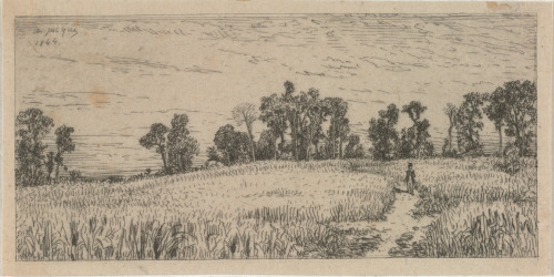 WHEATFIELD