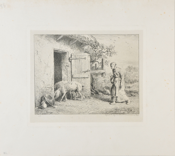 WOMAN RETURNING PIGS TO A STY