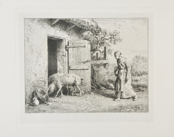 WOMAN RETURNING PIGS TO A STY