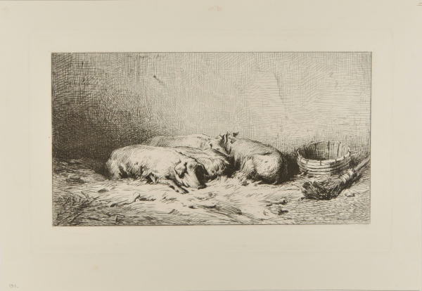 SLEEPING PIGS