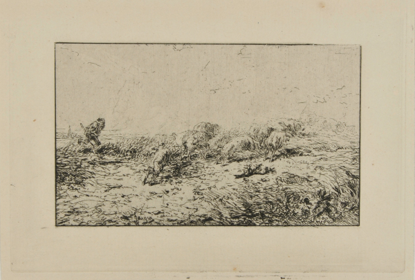 HERD OF FLEEING PIGS