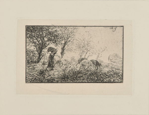 LANDSCAPE AND ANIMALS