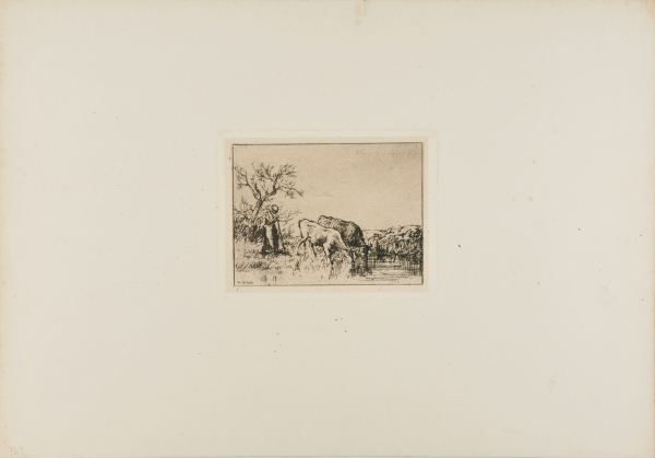A WOMAN AND TWO COWS