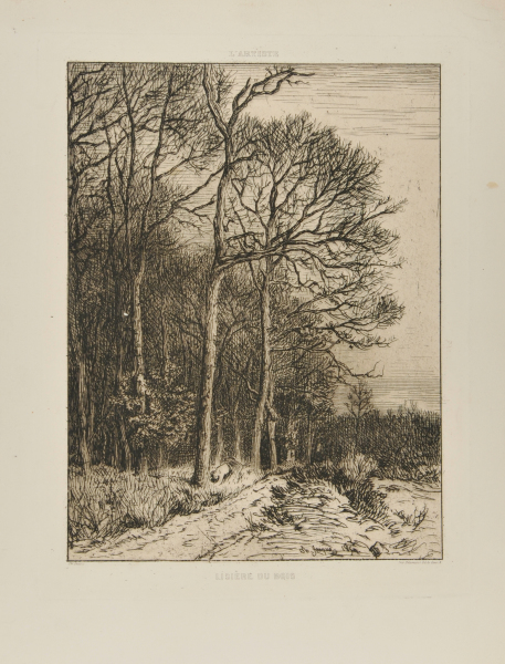 LANDSCAPE: WINTER - EDGE OF THE FOREST