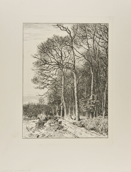 LANDSCAPE: WINTER - EDGE OF THE FOREST