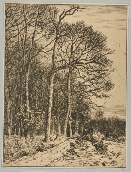 LANDSCAPE: WINTER - EDGE OF THE FOREST