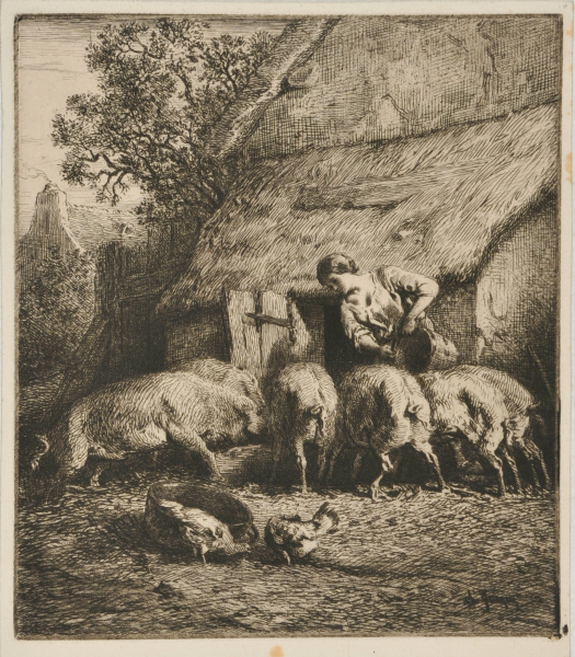 WOMAN FEEDING PIGS