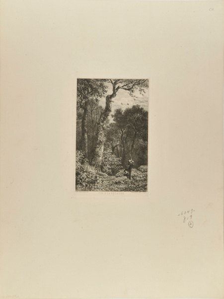 SHOOTING AT WOODCOCKS