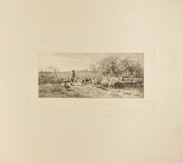 ARRIVAL AT THE FIELD