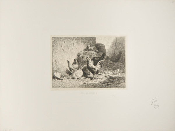 Coq et poules