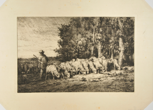 FLOCK AT THE EDGE OF A WOODS