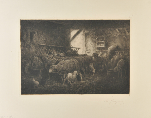 INTERIOR OF A SHEEPFOLD